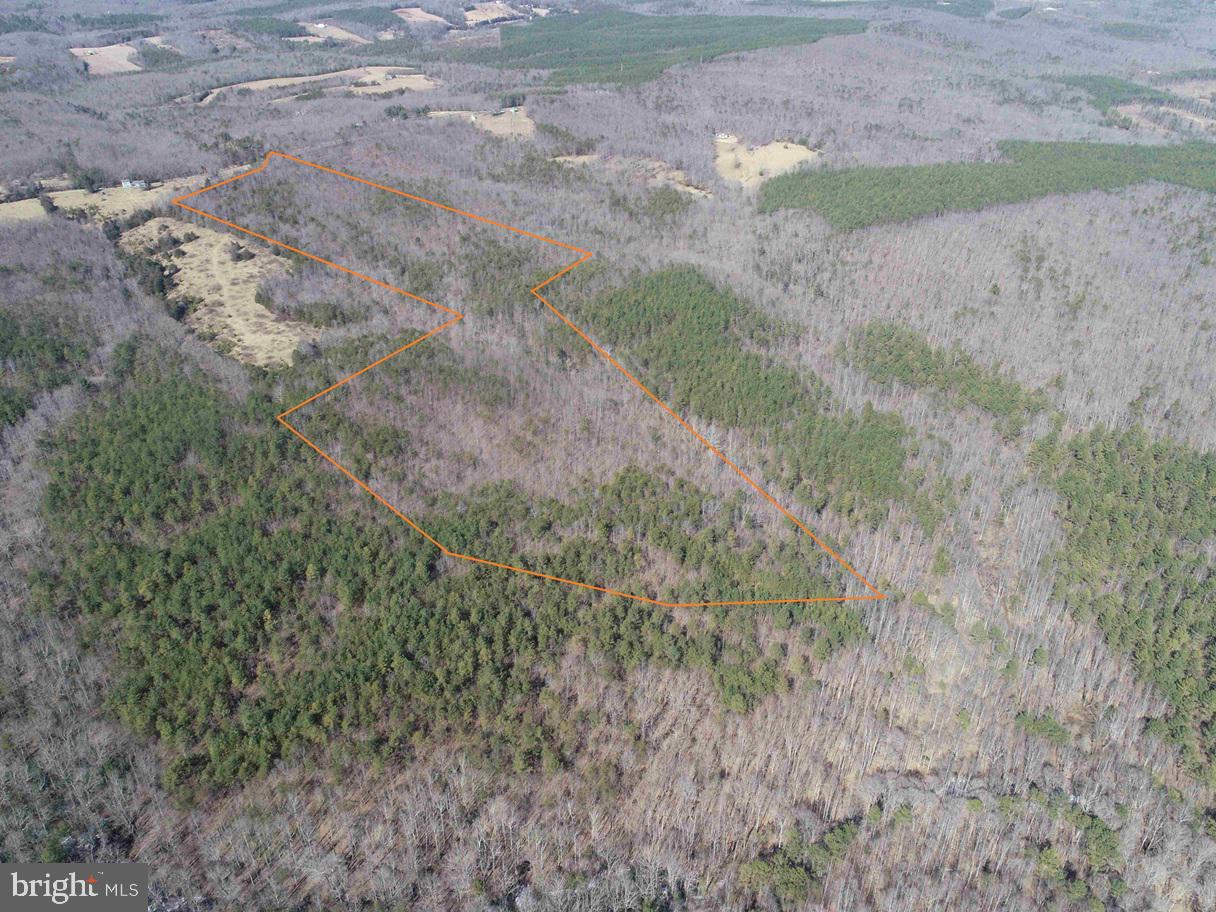 TURNPIKE (RT. 602) (TRACT: GIANNINI), SCOTTSVILLE, Virginia 24590, ,Farm,For sale,TURNPIKE (RT. 602) (TRACT: GIANNINI),VAAB2001048 MLS # VAAB2001048