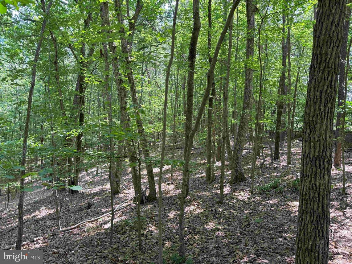 TURNPIKE (RT. 602) (TRACT: GIANNINI), SCOTTSVILLE, Virginia 24590, ,Farm,For sale,TURNPIKE (RT. 602) (TRACT: GIANNINI),VAAB2001048 MLS # VAAB2001048