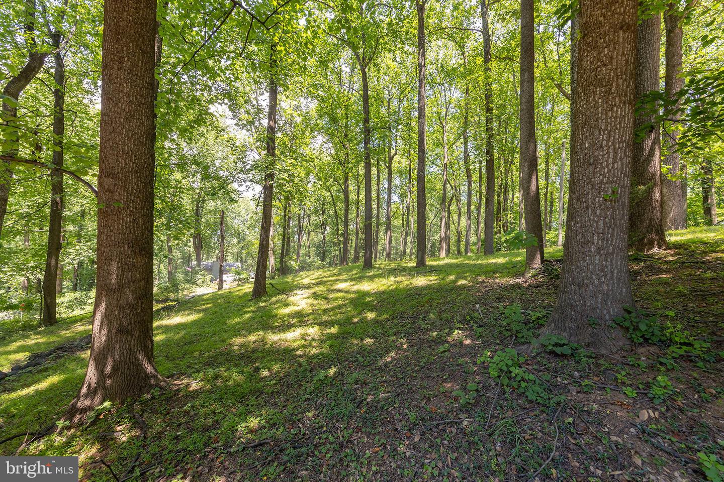 1959 DRUMMER HILL RD, FRONT ROYAL, Virginia 22630, 2 Bedrooms Bedrooms, ,1 BathroomBathrooms,Residential,For sale,1959 DRUMMER HILL RD,VAWR2011624 MLS # VAWR2011624