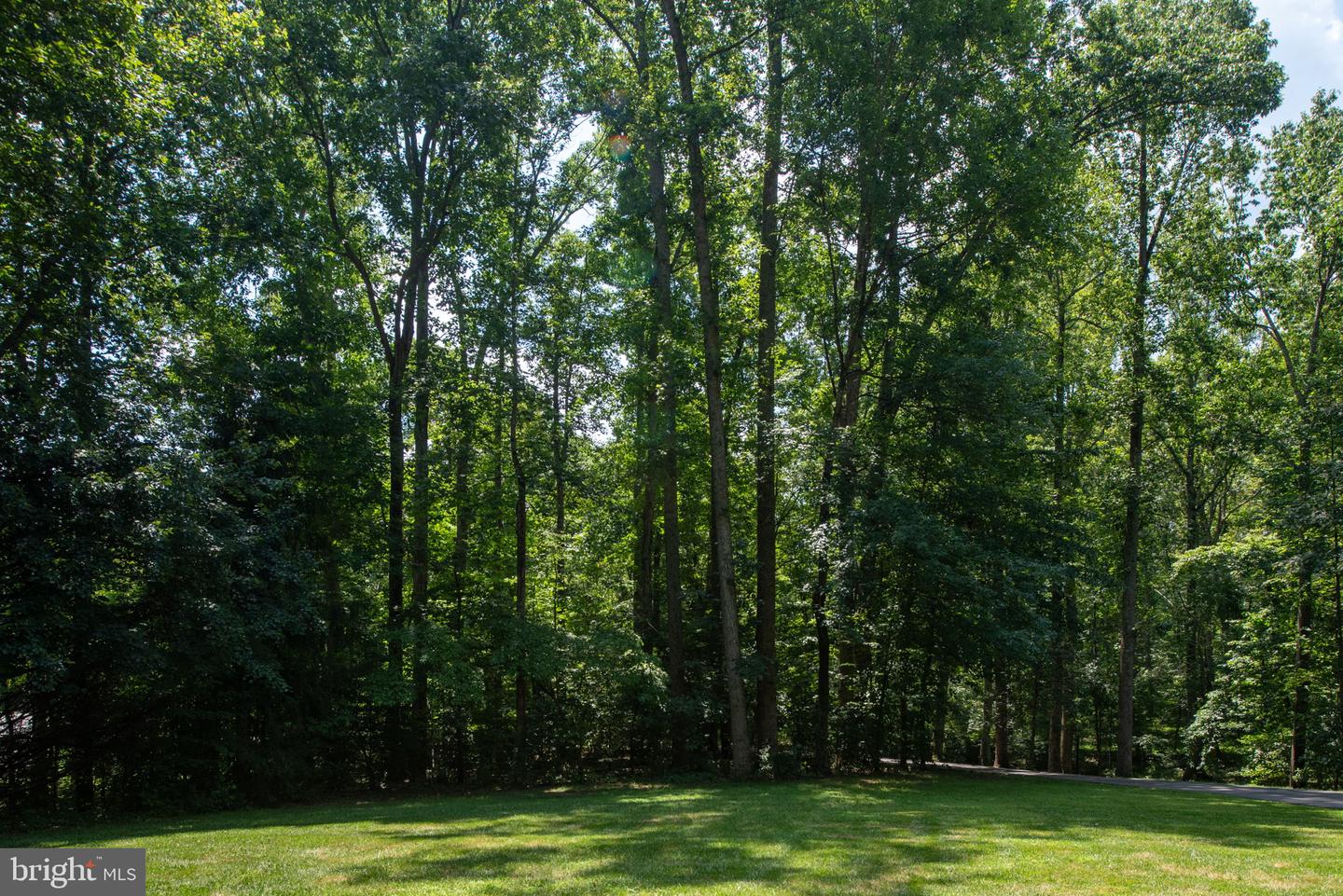19 SECRETARIAT DR, STAFFORD, Virginia 22556, 5 Bedrooms Bedrooms, ,3 BathroomsBathrooms,Residential,For sale,19 SECRETARIAT DR,VAST2040802 MLS # VAST2040802