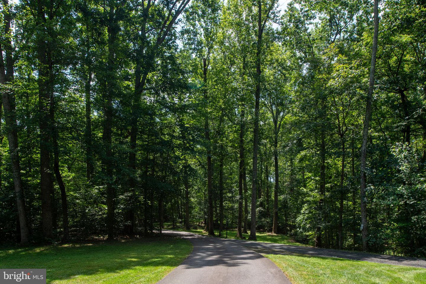 19 SECRETARIAT DR, STAFFORD, Virginia 22556, 5 Bedrooms Bedrooms, ,3 BathroomsBathrooms,Residential,For sale,19 SECRETARIAT DR,VAST2040802 MLS # VAST2040802