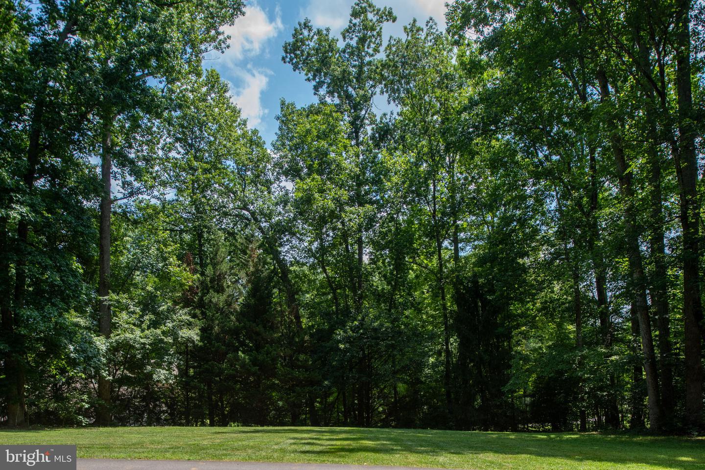 19 SECRETARIAT DR, STAFFORD, Virginia 22556, 5 Bedrooms Bedrooms, ,3 BathroomsBathrooms,Residential,For sale,19 SECRETARIAT DR,VAST2040802 MLS # VAST2040802