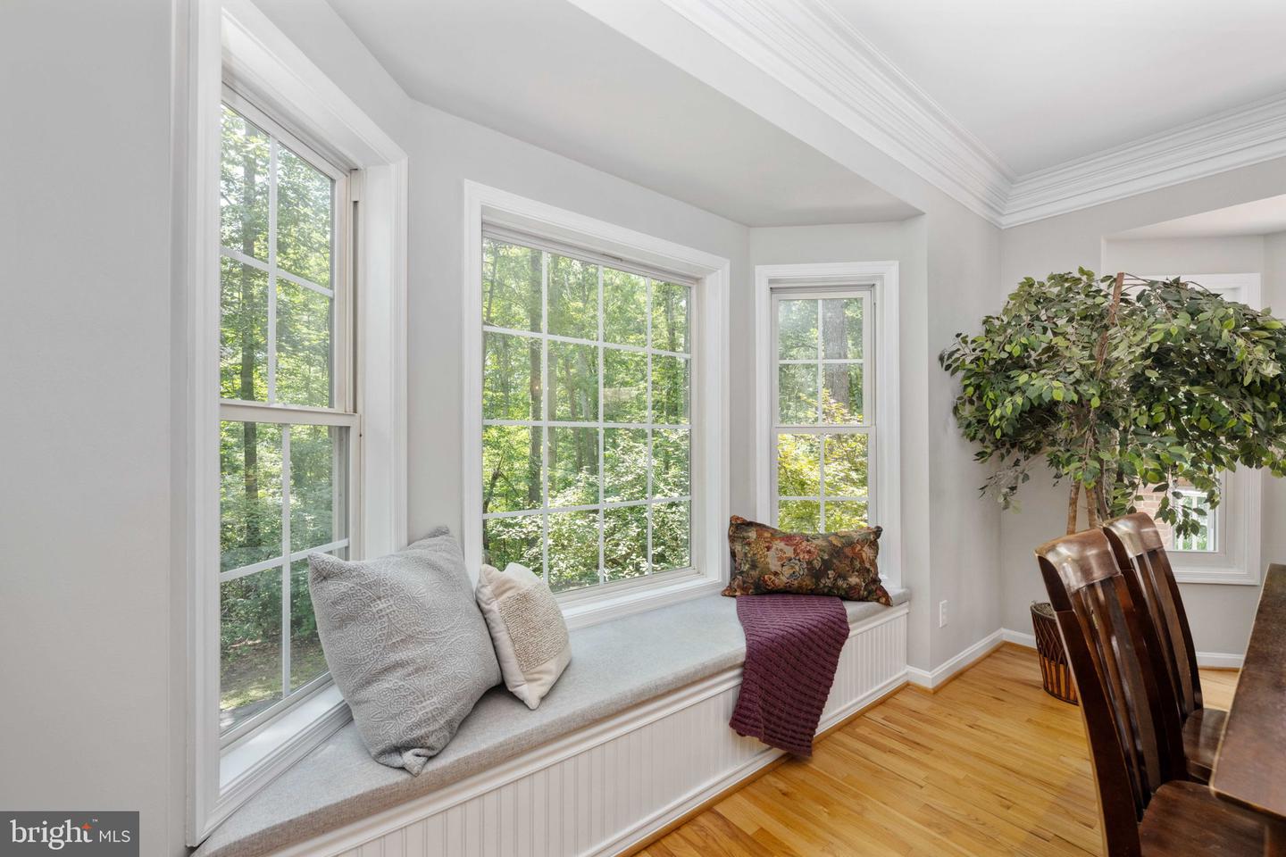 19 SECRETARIAT DR, STAFFORD, Virginia 22556, 5 Bedrooms Bedrooms, ,3 BathroomsBathrooms,Residential,For sale,19 SECRETARIAT DR,VAST2040802 MLS # VAST2040802