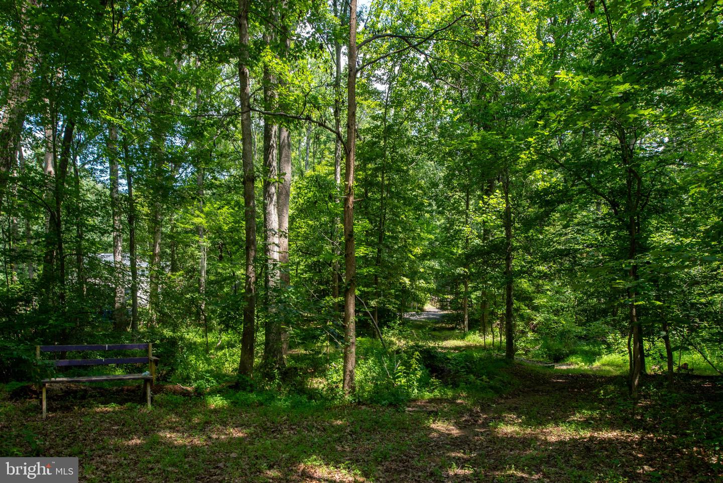 19 SECRETARIAT DR, STAFFORD, Virginia 22556, 5 Bedrooms Bedrooms, ,3 BathroomsBathrooms,Residential,For sale,19 SECRETARIAT DR,VAST2040802 MLS # VAST2040802