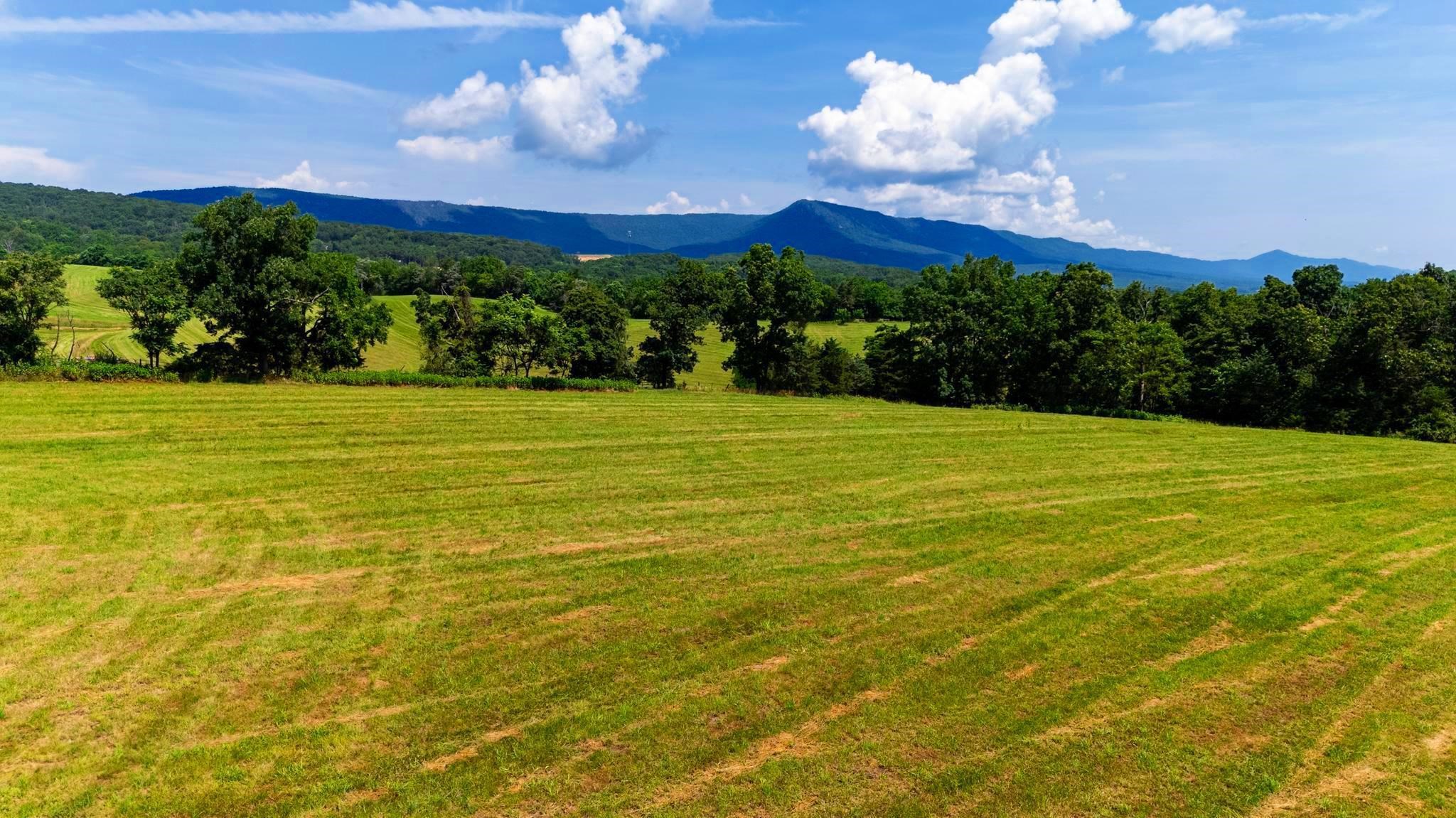 Lot 12 SHULER LN, STANLEY, Virginia 22851, ,Land,Lot 12 SHULER LN,666889 MLS # 666889