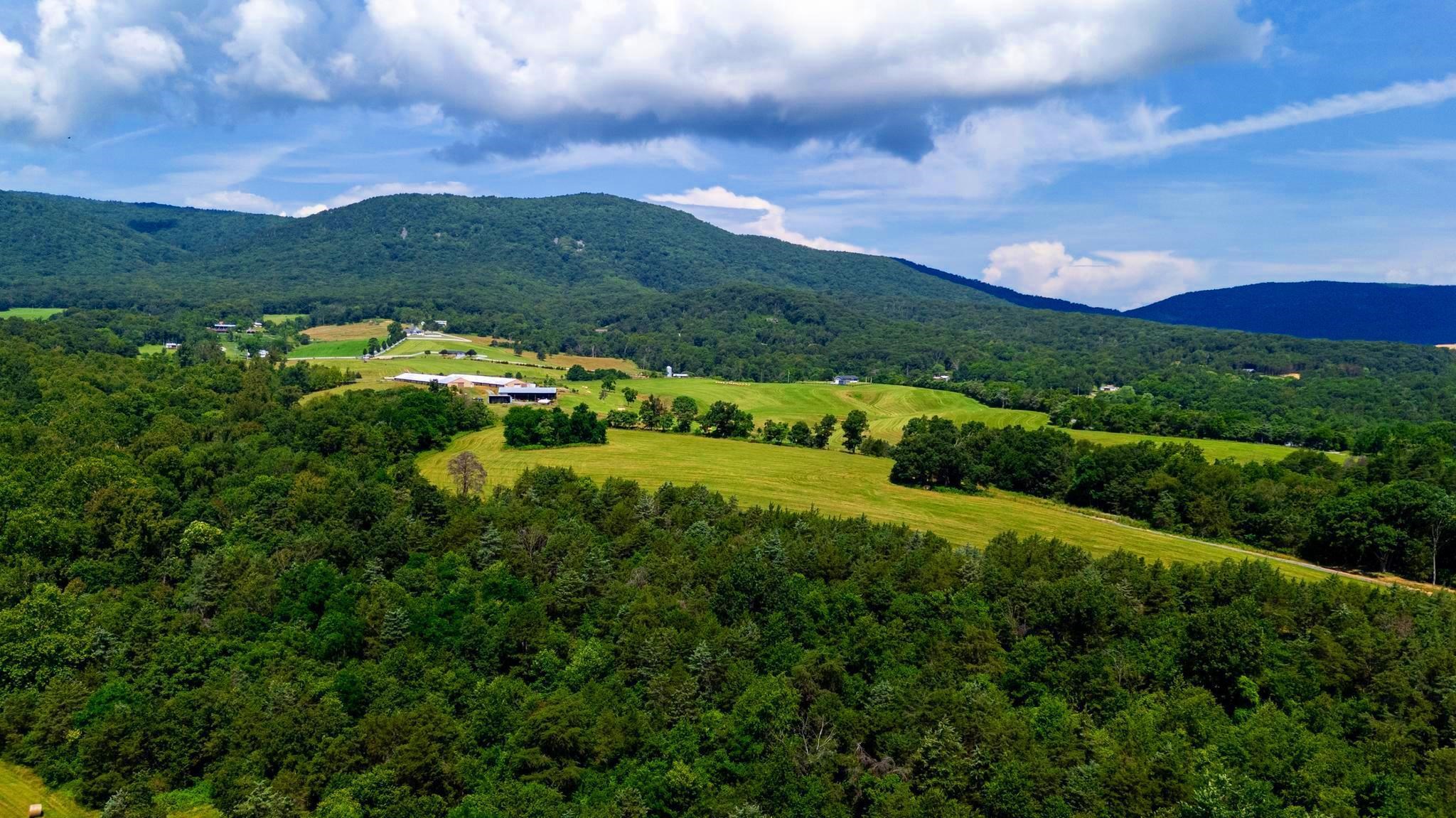 Lot 12 SHULER LN, STANLEY, Virginia 22851, ,Land,Lot 12 SHULER LN,666889 MLS # 666889