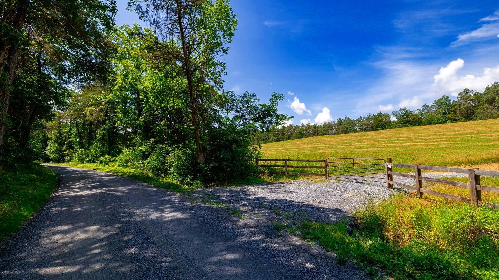 Lot 12 SHULER LN, STANLEY, Virginia 22851, ,Land,Lot 12 SHULER LN,666889 MLS # 666889