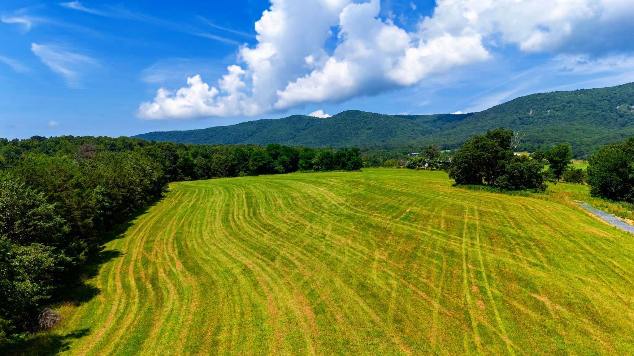 Lot 12 SHULER LN, STANLEY, Virginia 22851, ,Land,Lot 12 SHULER LN,666889 MLS # 666889