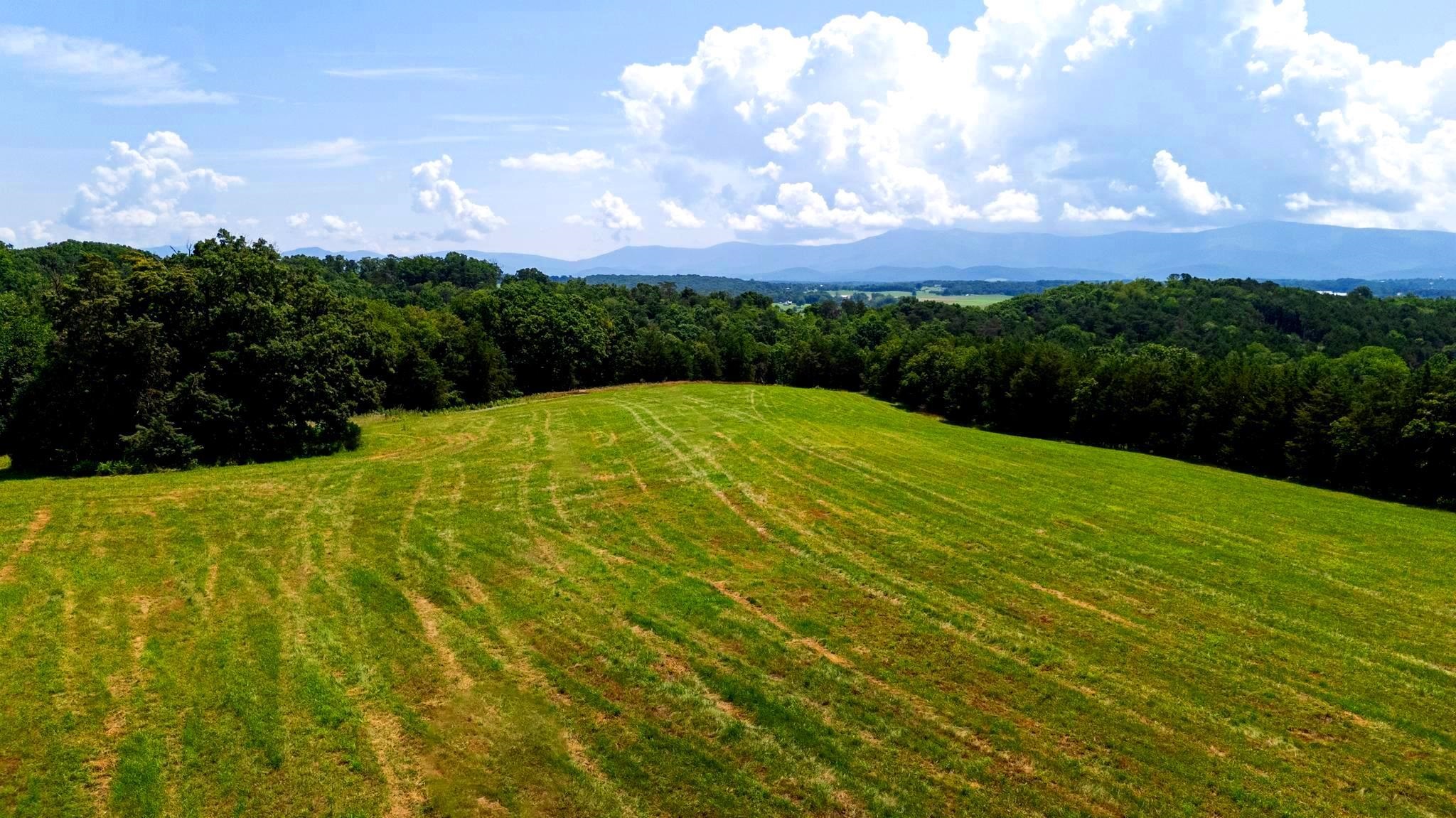 Lot 12 SHULER LN, STANLEY, Virginia 22851, ,Land,Lot 12 SHULER LN,666889 MLS # 666889