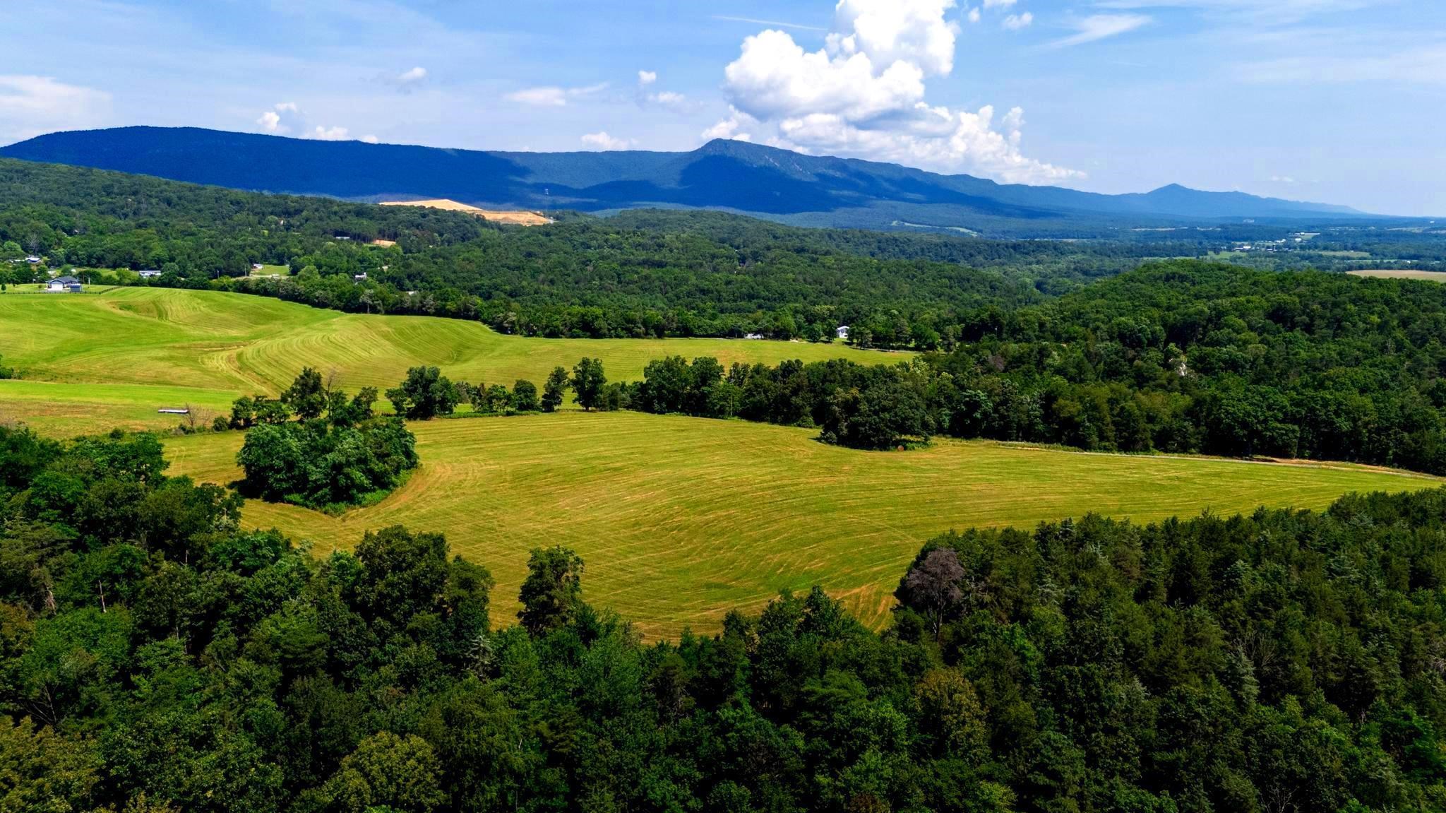 Lot 12 SHULER LN, STANLEY, Virginia 22851, ,Land,Lot 12 SHULER LN,666889 MLS # 666889