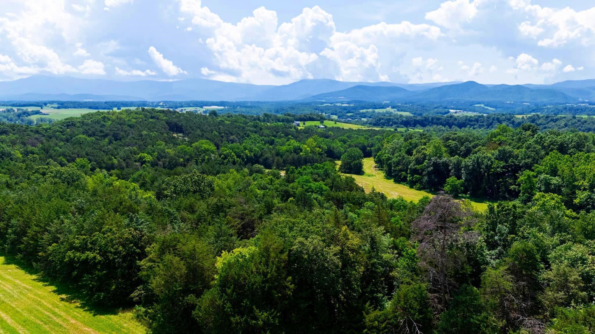 Lot 12 SHULER LN, STANLEY, Virginia 22851, ,Land,Lot 12 SHULER LN,666889 MLS # 666889