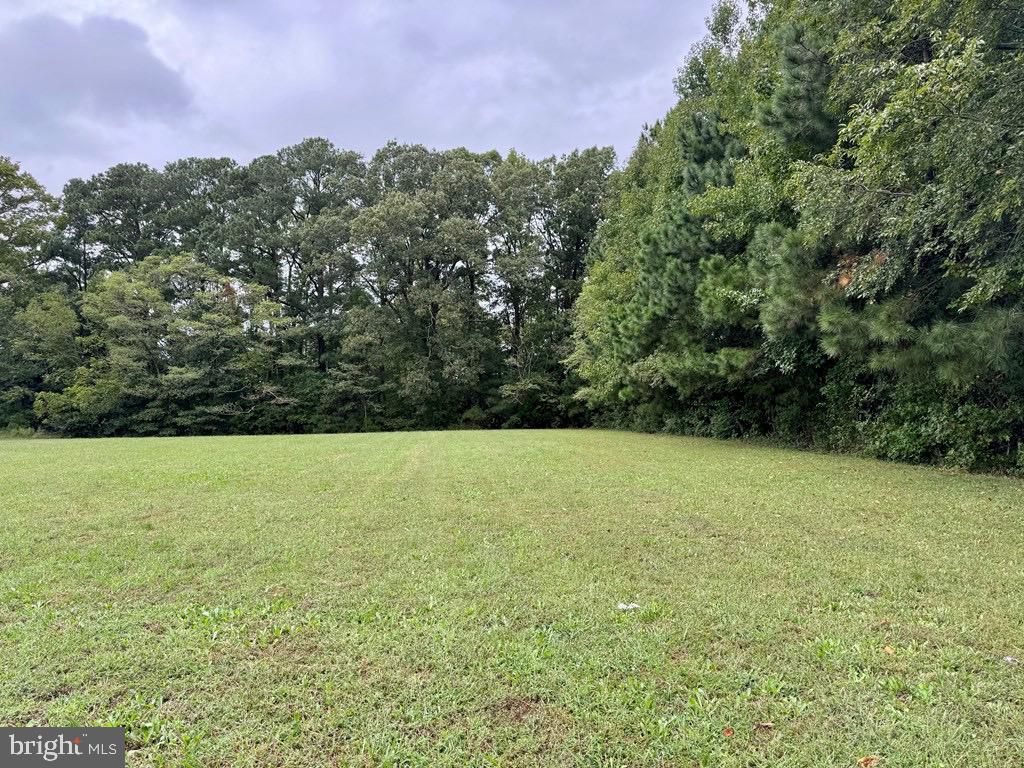 LOT 56 SKYS LIMIT CT, REEDVILLE, Virginia 22539, ,Land,For sale,LOT 56 SKYS LIMIT CT,VANV2001566 MLS # VANV2001566