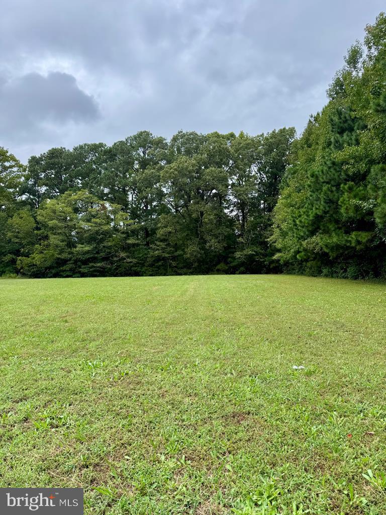 LOT 56 SKYS LIMIT CT, REEDVILLE, Virginia 22539, ,Land,For sale,LOT 56 SKYS LIMIT CT,VANV2001566 MLS # VANV2001566