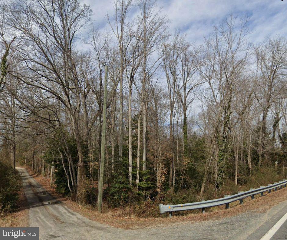 0 BROOKS RD, BOWLING GREEN, Virginia 22427, ,Land,For sale,0 BROOKS RD,VACV2008528 MLS # VACV2008528