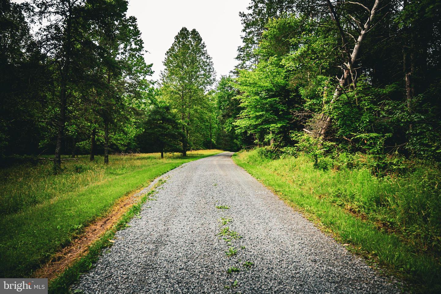 TBD MALLORYS FORD RD, LOUISA, Virginia 23093, ,Land,For sale,TBD MALLORYS FORD RD,VALA2008274 MLS # VALA2008274