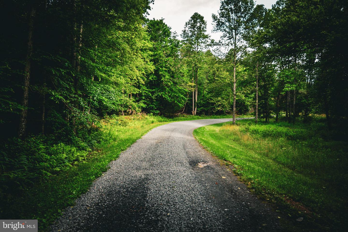 TBD MALLORYS FORD RD, LOUISA, Virginia 23093, ,Land,For sale,TBD MALLORYS FORD RD,VALA2008274 MLS # VALA2008274