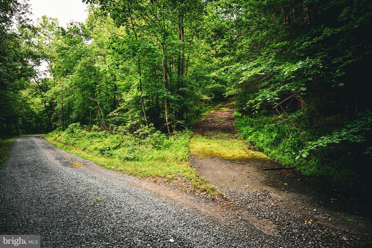 TBD MALLORYS FORD RD, LOUISA, Virginia 23093, ,Land,For sale,TBD MALLORYS FORD RD,VALA2008274 MLS # VALA2008274
