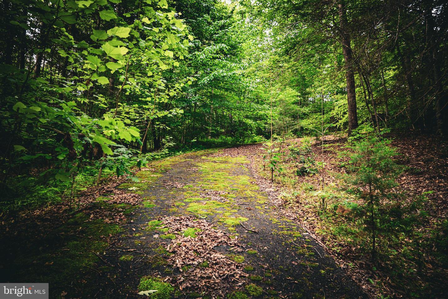 TBD MALLORYS FORD RD, LOUISA, Virginia 23093, ,Land,For sale,TBD MALLORYS FORD RD,VALA2008274 MLS # VALA2008274