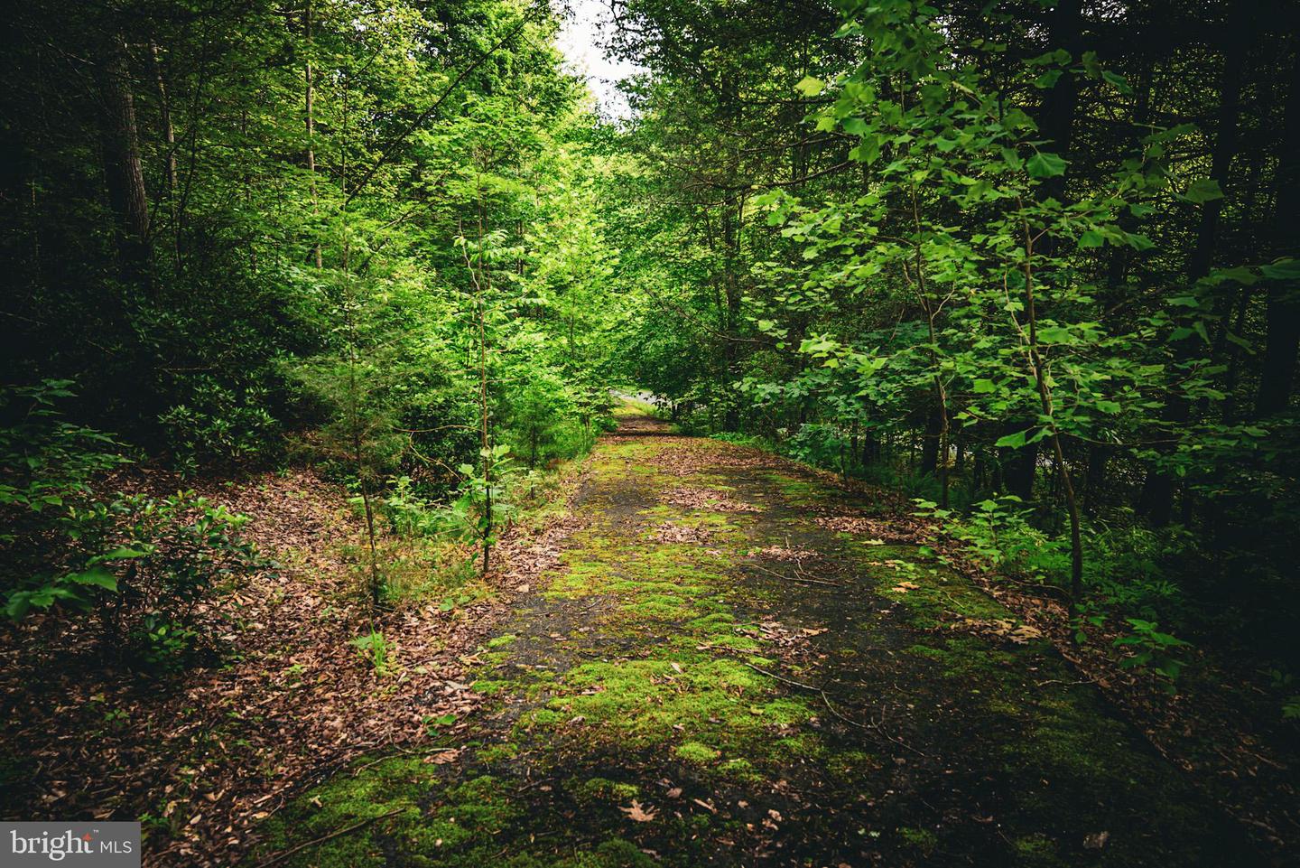 TBD MALLORYS FORD RD, LOUISA, Virginia 23093, ,Land,For sale,TBD MALLORYS FORD RD,VALA2008274 MLS # VALA2008274