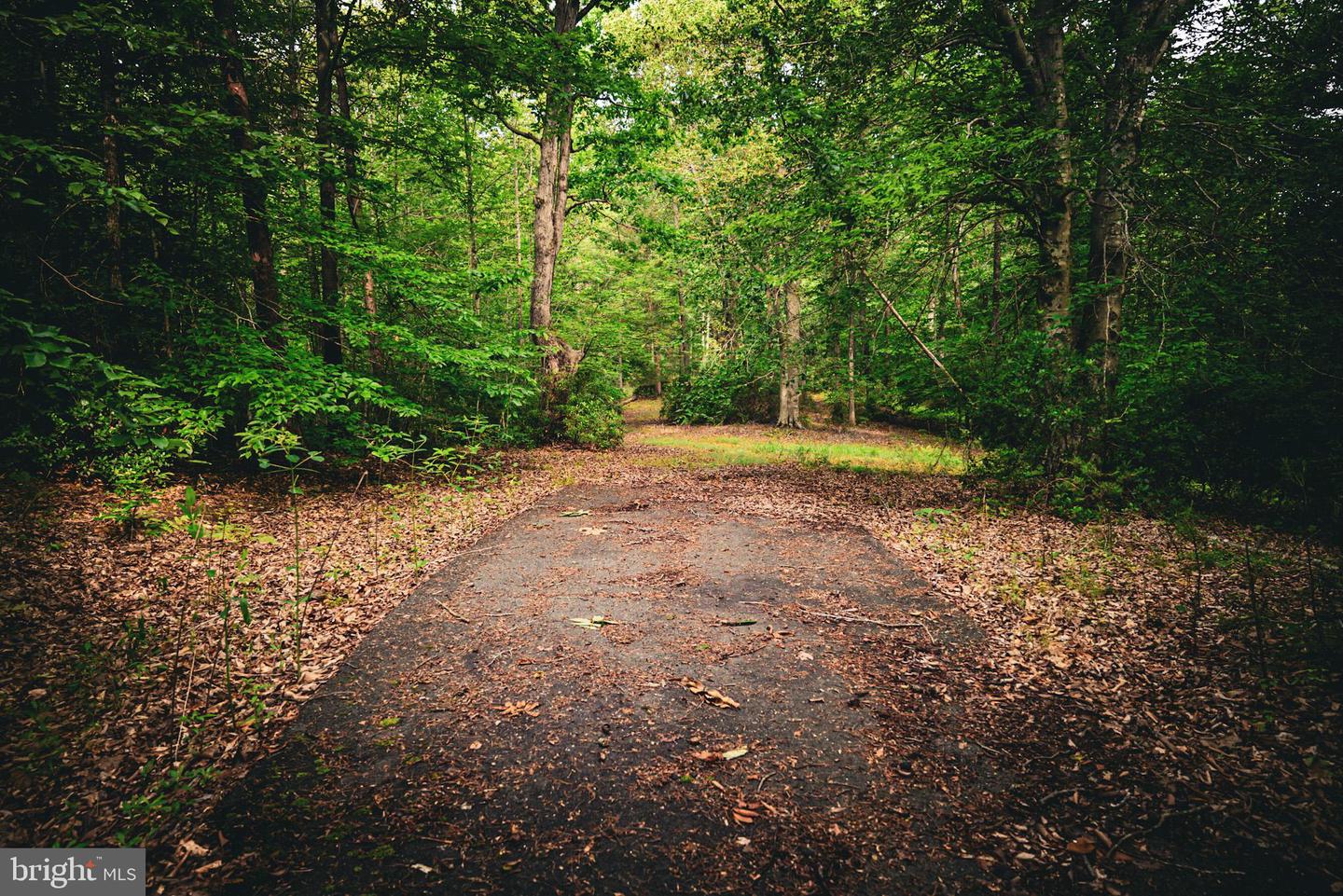 TBD MALLORYS FORD RD, LOUISA, Virginia 23093, ,Land,For sale,TBD MALLORYS FORD RD,VALA2008274 MLS # VALA2008274