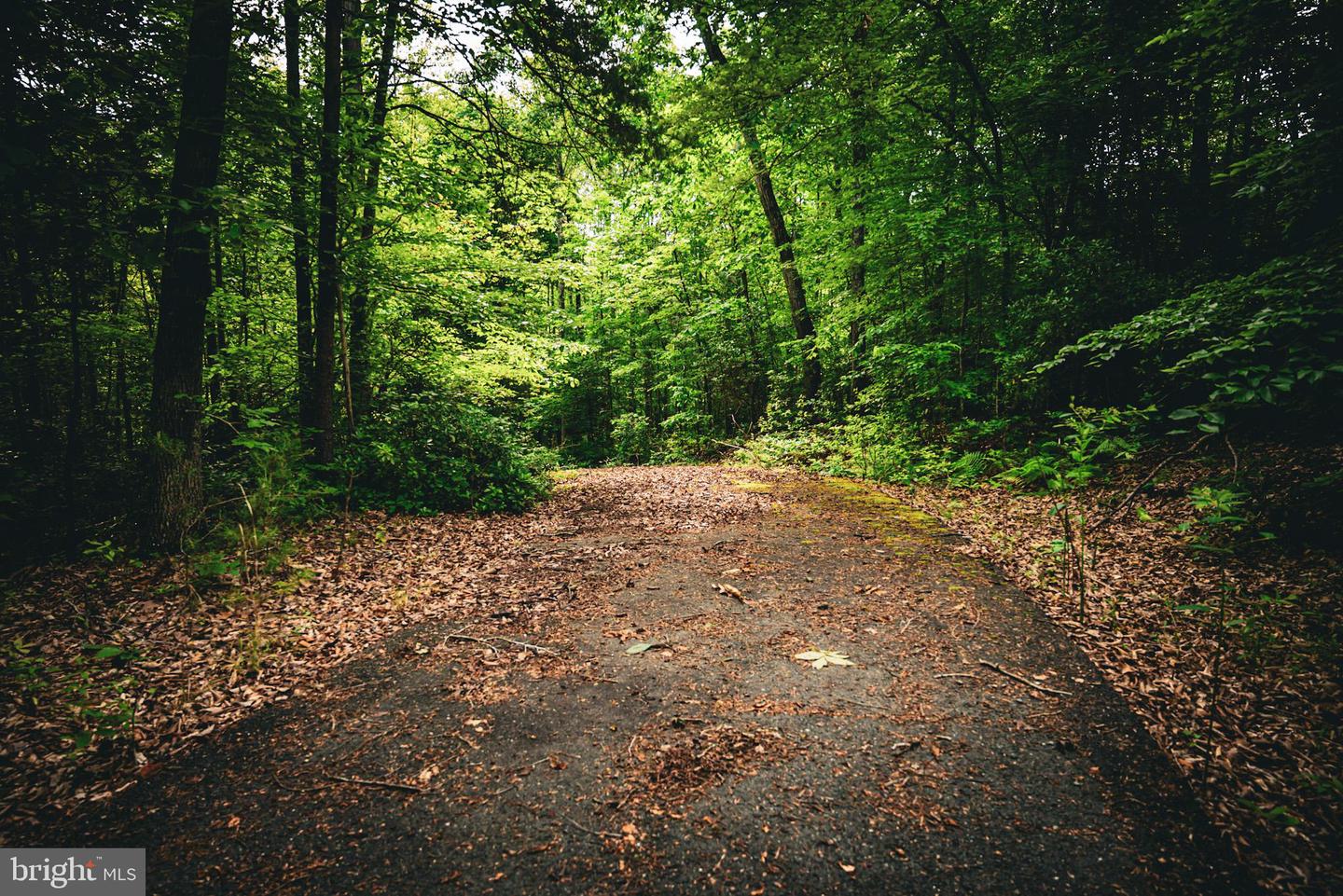 TBD MALLORYS FORD RD, LOUISA, Virginia 23093, ,Land,For sale,TBD MALLORYS FORD RD,VALA2008274 MLS # VALA2008274