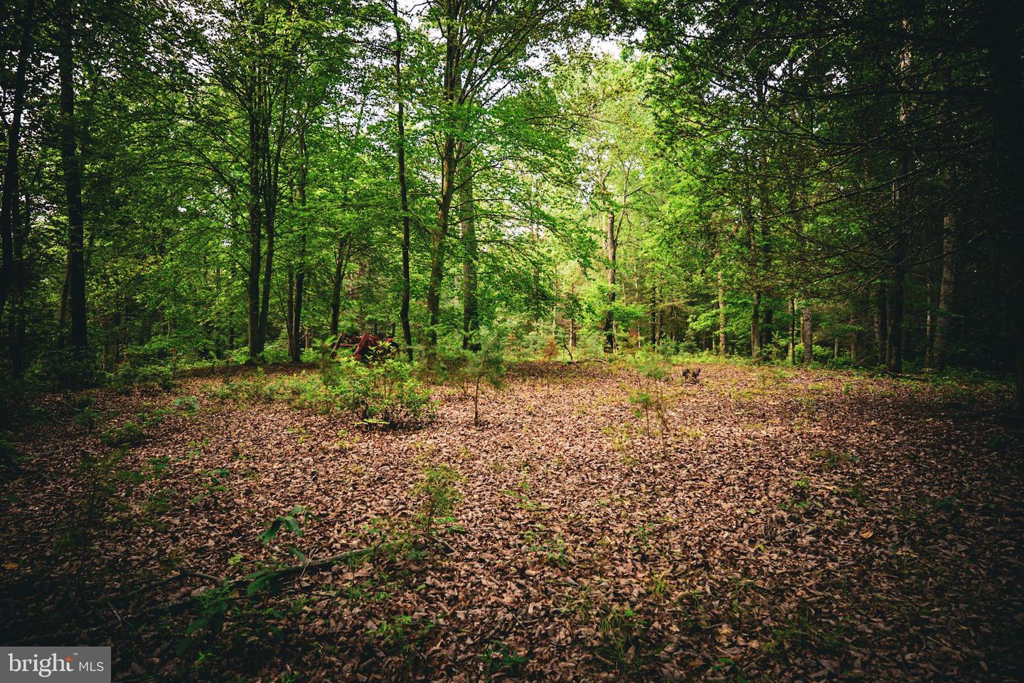TBD MALLORYS FORD RD, LOUISA, Virginia 23093, ,Land,For sale,TBD MALLORYS FORD RD,VALA2008274 MLS # VALA2008274