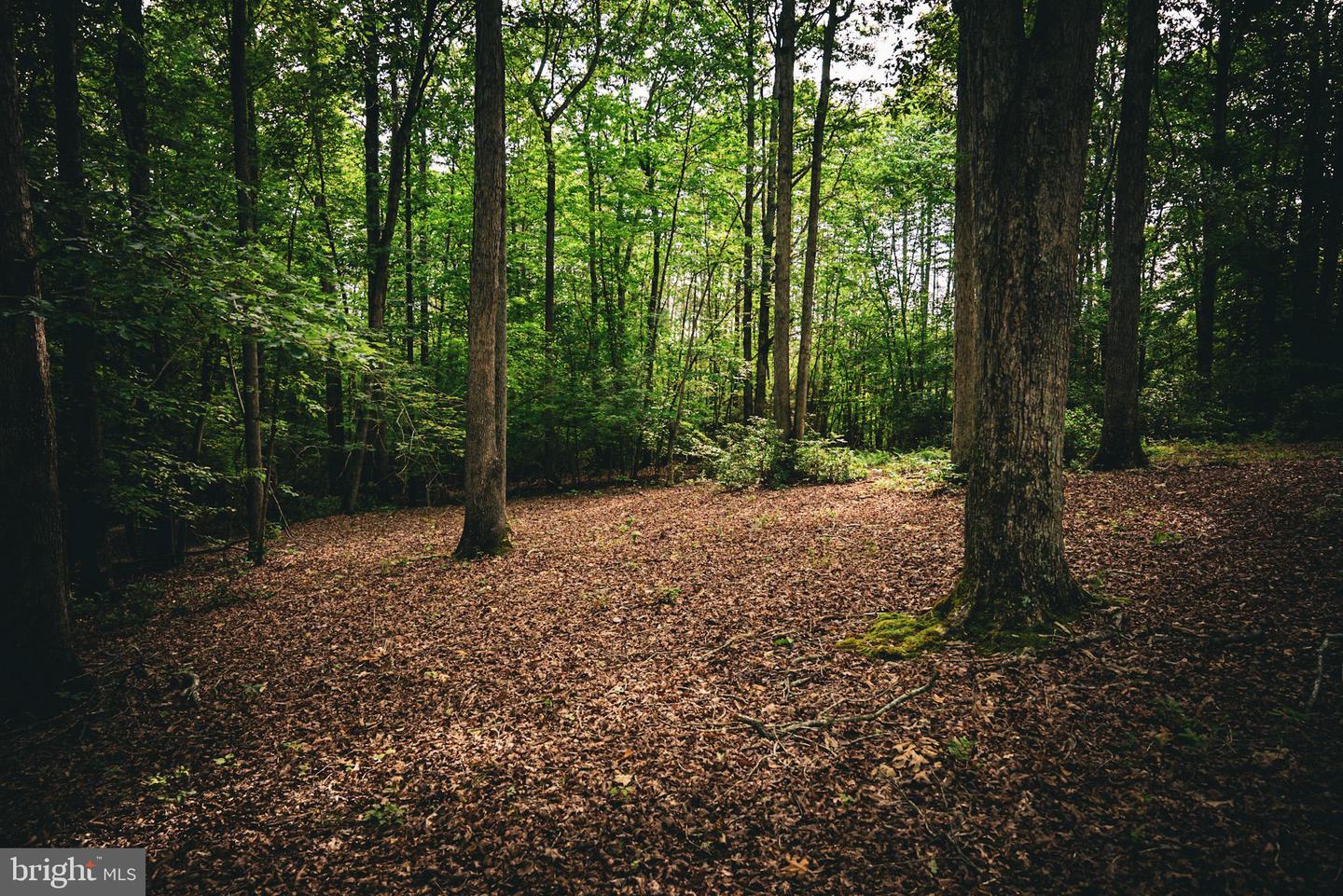 TBD MALLORYS FORD RD, LOUISA, Virginia 23093, ,Land,For sale,TBD MALLORYS FORD RD,VALA2008274 MLS # VALA2008274