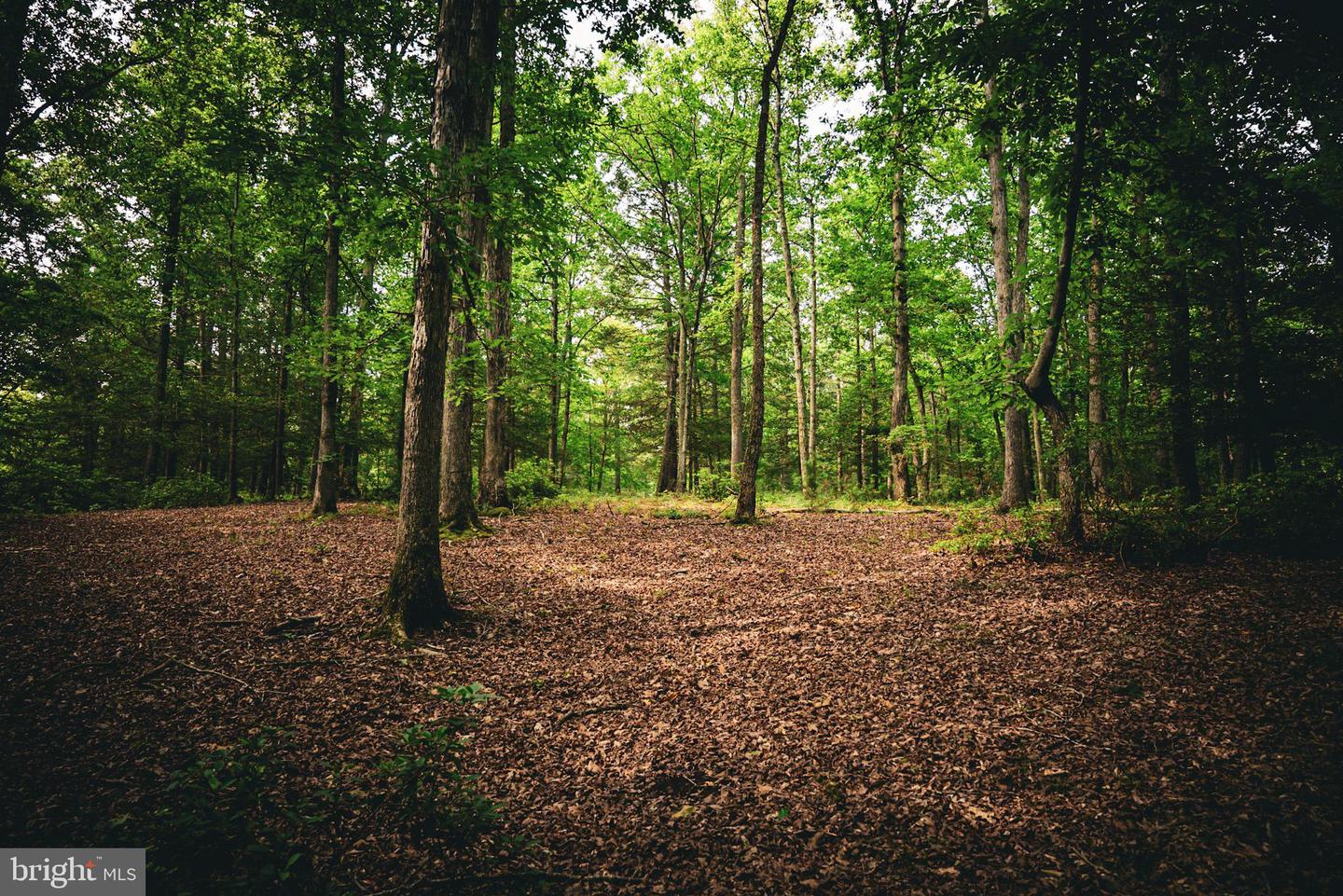 TBD MALLORYS FORD RD, LOUISA, Virginia 23093, ,Land,For sale,TBD MALLORYS FORD RD,VALA2008274 MLS # VALA2008274