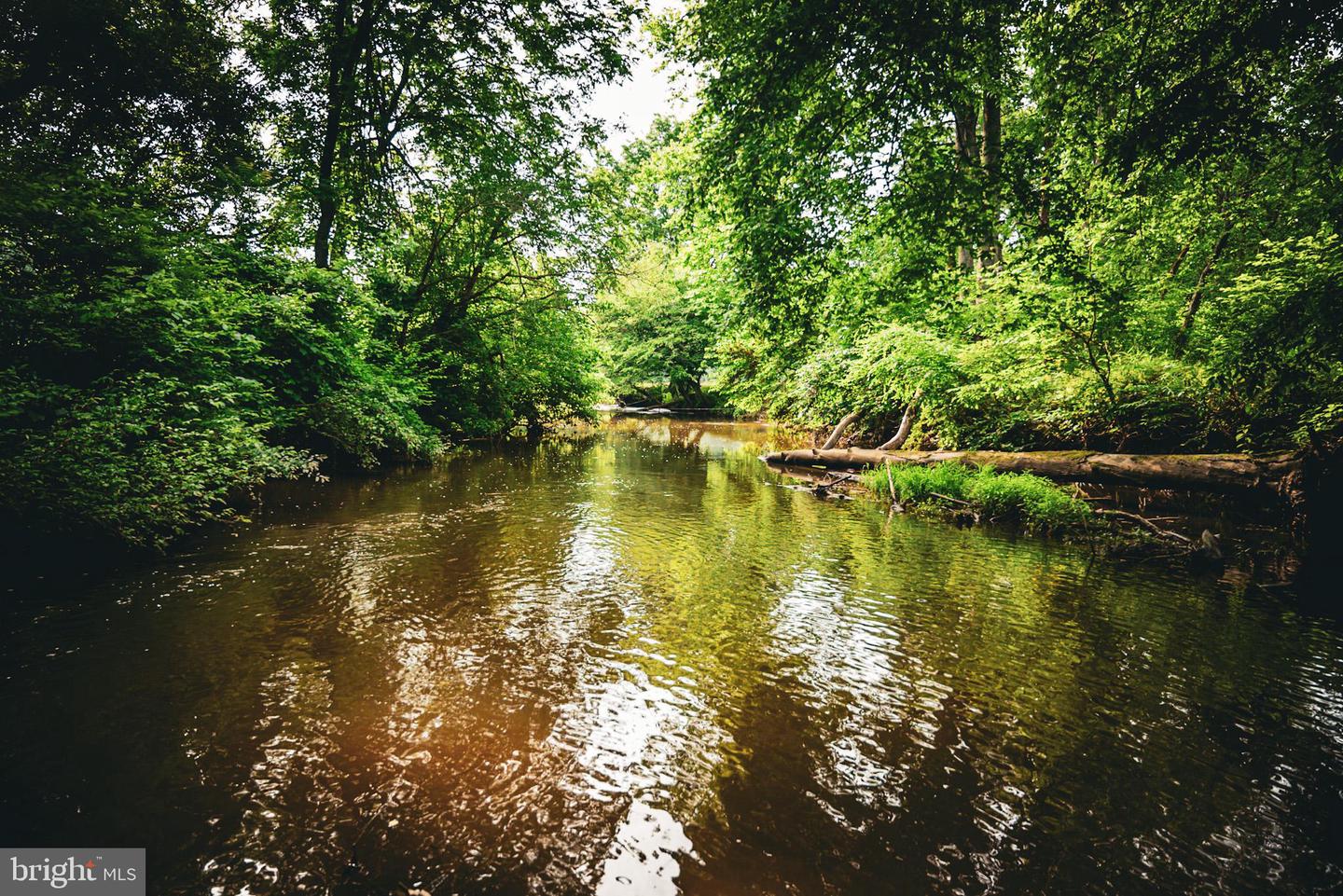 TBD MALLORYS FORD RD, LOUISA, Virginia 23093, ,Land,For sale,TBD MALLORYS FORD RD,VALA2008274 MLS # VALA2008274