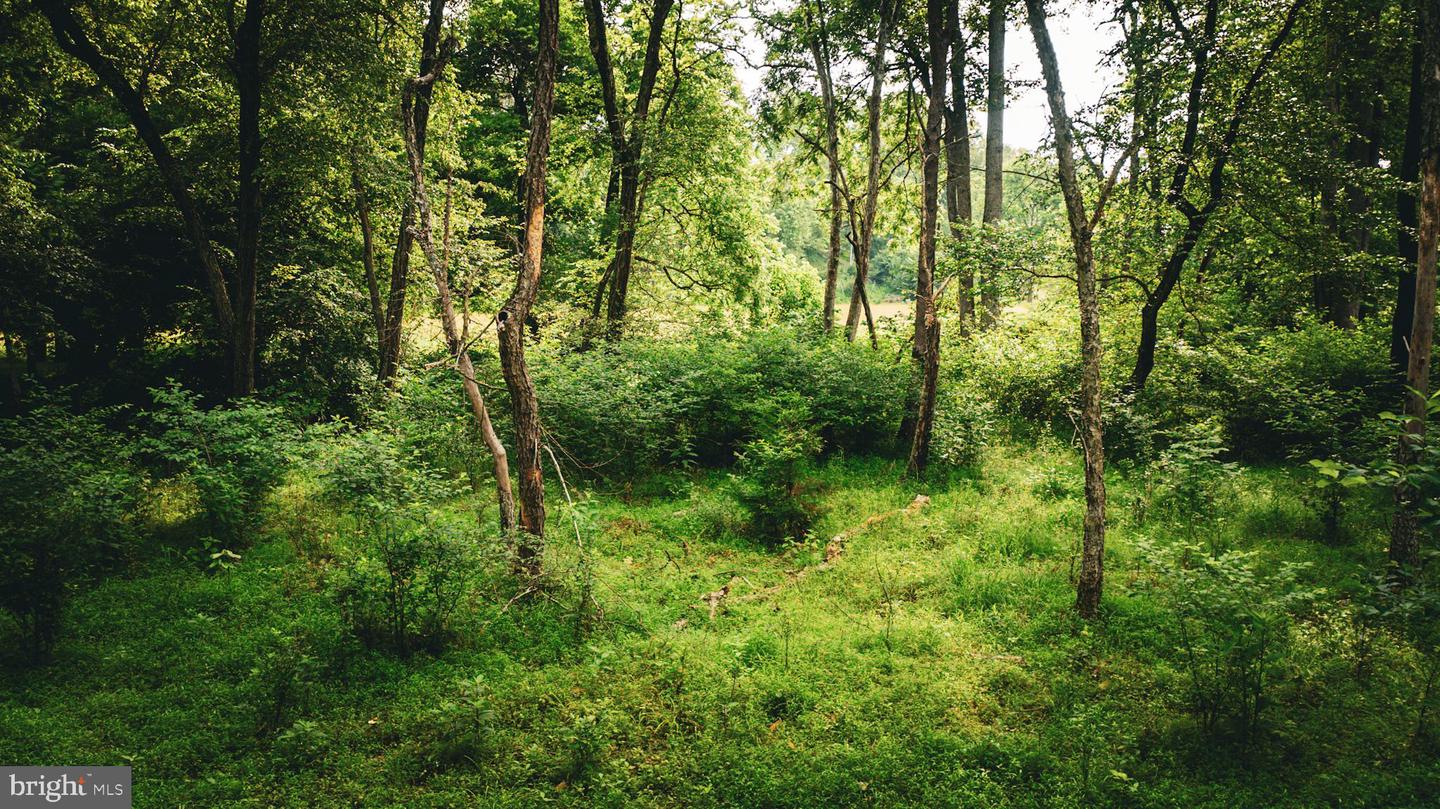 TBD MALLORYS FORD RD, LOUISA, Virginia 23093, ,Land,For sale,TBD MALLORYS FORD RD,VALA2008274 MLS # VALA2008274