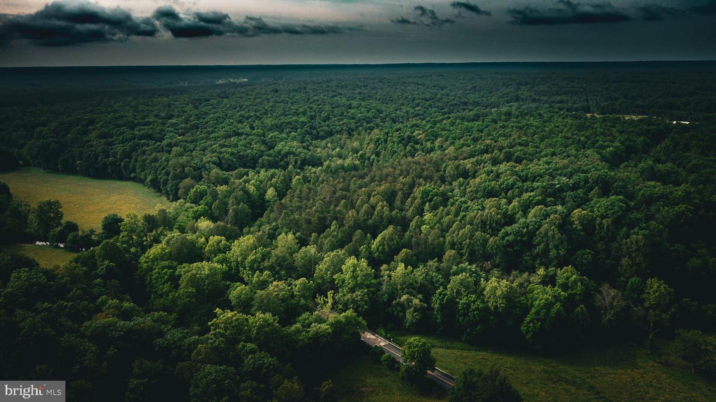 TBD MALLORYS FORD RD, LOUISA, Virginia 23093, ,Land,For sale,TBD MALLORYS FORD RD,VALA2008274 MLS # VALA2008274