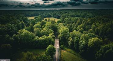 TBD MALLORYS FORD RD, LOUISA, Virginia 23093, ,Land,For sale,TBD MALLORYS FORD RD,VALA2008274 MLS # VALA2008274