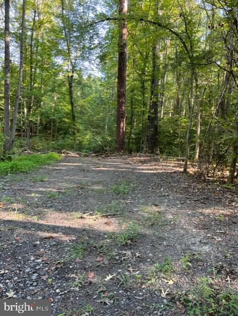 CHILESBURG RD, BEAVERDAM, Virginia 23015, ,Land,For sale,CHILESBURG RD,VACV2008530 MLS # VACV2008530