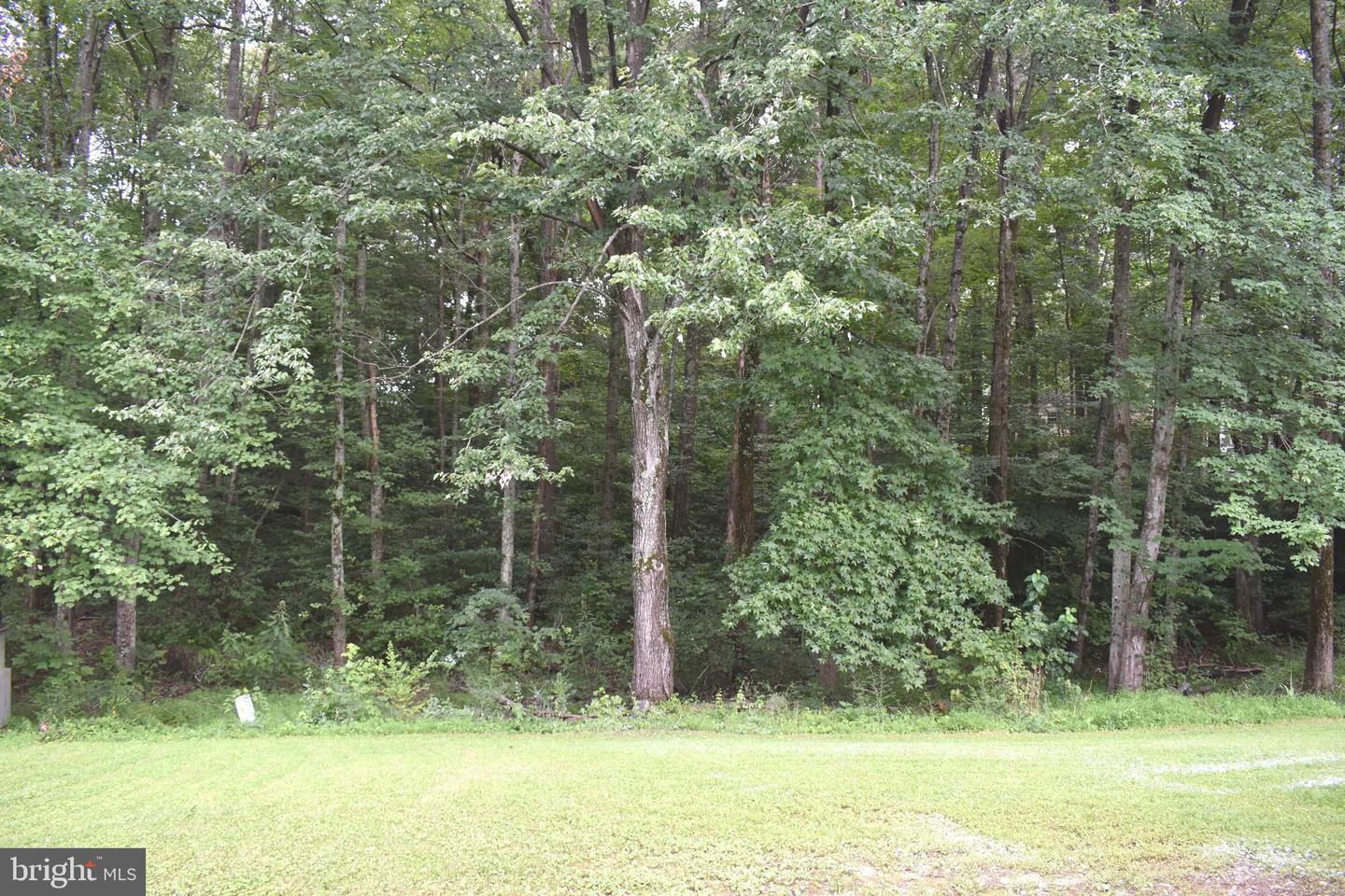 5036 TARA DR, FREDERICKSBURG, Virginia 22407, 3 Bedrooms Bedrooms, 6 Rooms Rooms,2 BathroomsBathrooms,Residential,For sale,5036 TARA DR,VASP2034280 MLS # VASP2034280