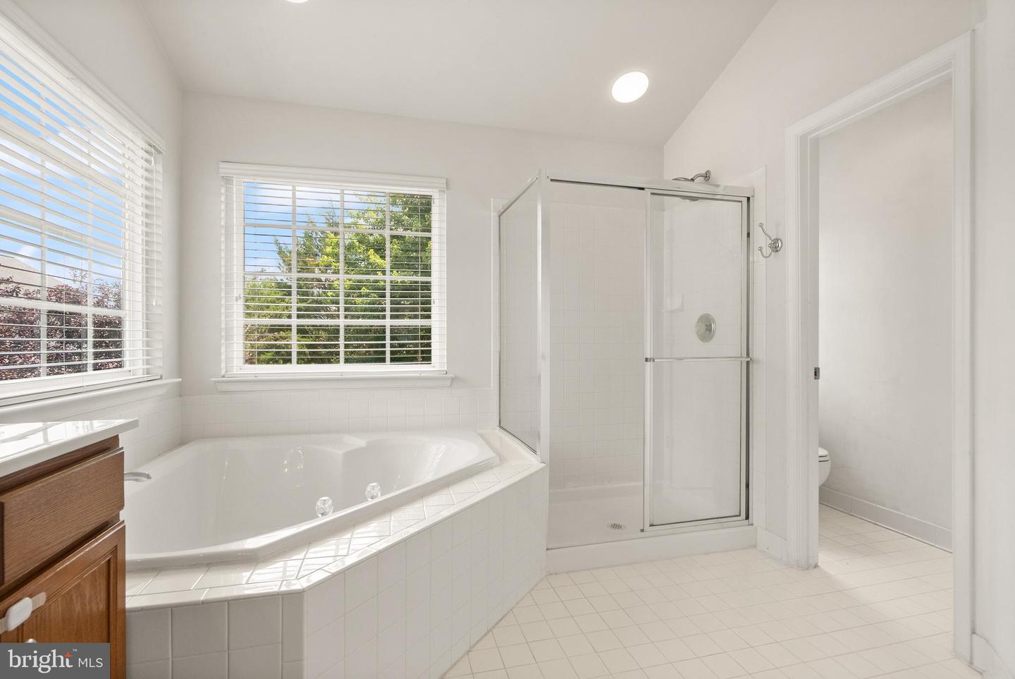 12253 TULANE FALLS DR, BRISTOW, Virginia 20136, 6 Bedrooms Bedrooms, ,3 BathroomsBathrooms,Residential,For sale,12253 TULANE FALLS DR,VAPW2098668 MLS # VAPW2098668