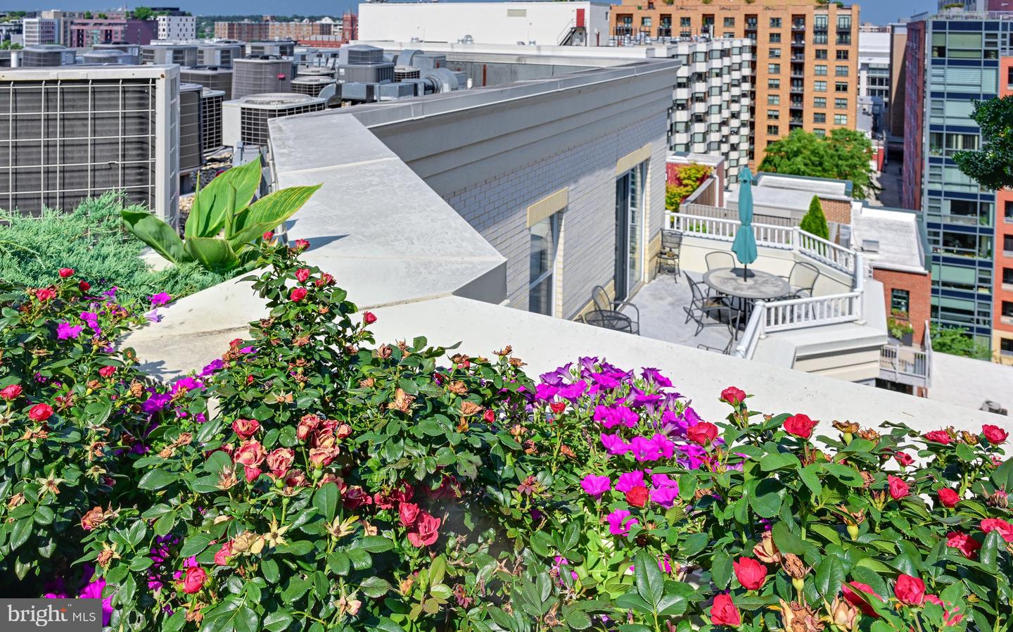 1111 11TH ST NW #304, WASHINGTON, District Of Columbia 20001, 1 Bedroom Bedrooms, ,1 BathroomBathrooms,Residential,For sale,1111 11TH ST NW #304,DCDC2210112 MLS # DCDC2210112