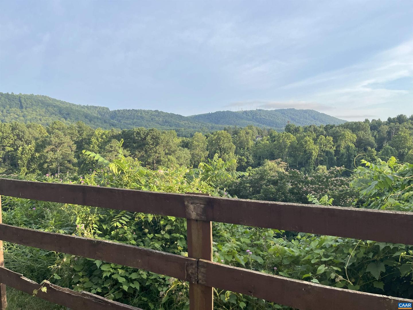 1606 MONTICELLO AVE #G, CHARLOTTESVILLE, Virginia 22902, 2 Bedrooms Bedrooms, ,2 BathroomsBathrooms,Residential,For sale,1606 MONTICELLO AVE #G,666859 MLS # 666859