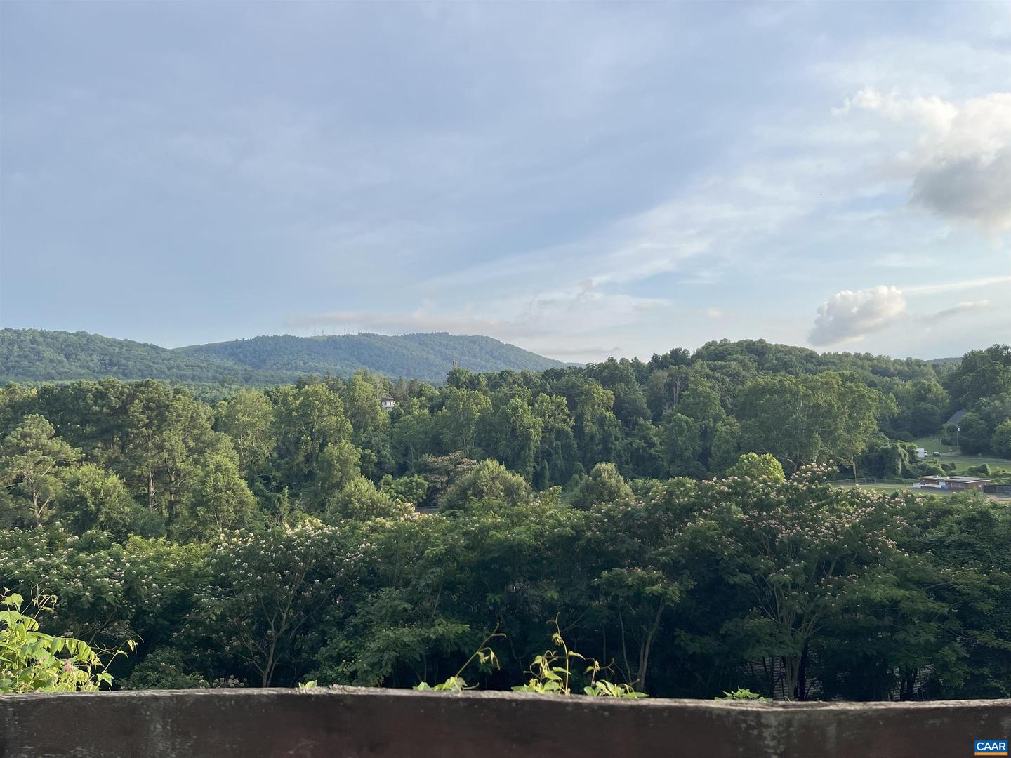 1606 MONTICELLO AVE #G, CHARLOTTESVILLE, Virginia 22902, 2 Bedrooms Bedrooms, ,2 BathroomsBathrooms,Residential,For sale,1606 MONTICELLO AVE #G,666859 MLS # 666859