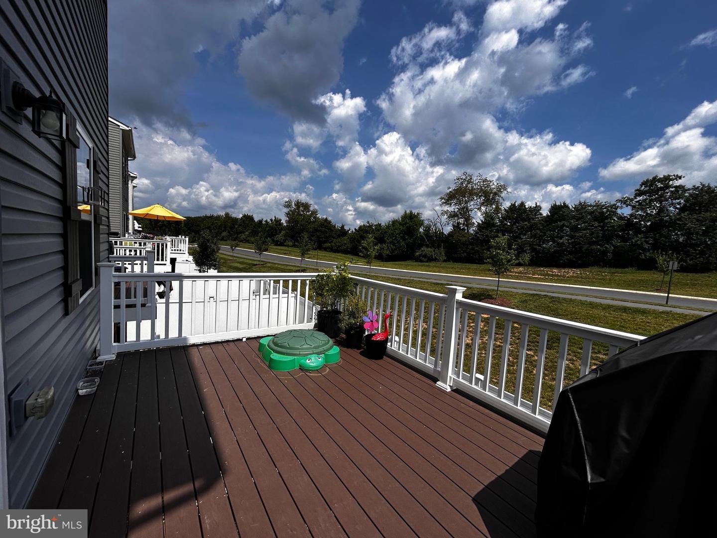 147 BURKWOOD TER, LAKE FREDERICK, Virginia 22630, 3 Bedrooms Bedrooms, ,3 BathroomsBathrooms,Residential,For sale,147 BURKWOOD TER,VAFV2035508 MLS # VAFV2035508