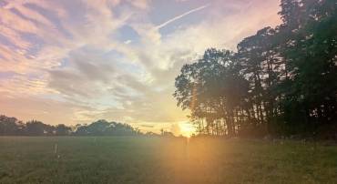 0 SHANNON HILL RD, COLUMBIA, Virginia 23038, ,Land,For sale,0 SHANNON HILL RD,666912 MLS # 666912