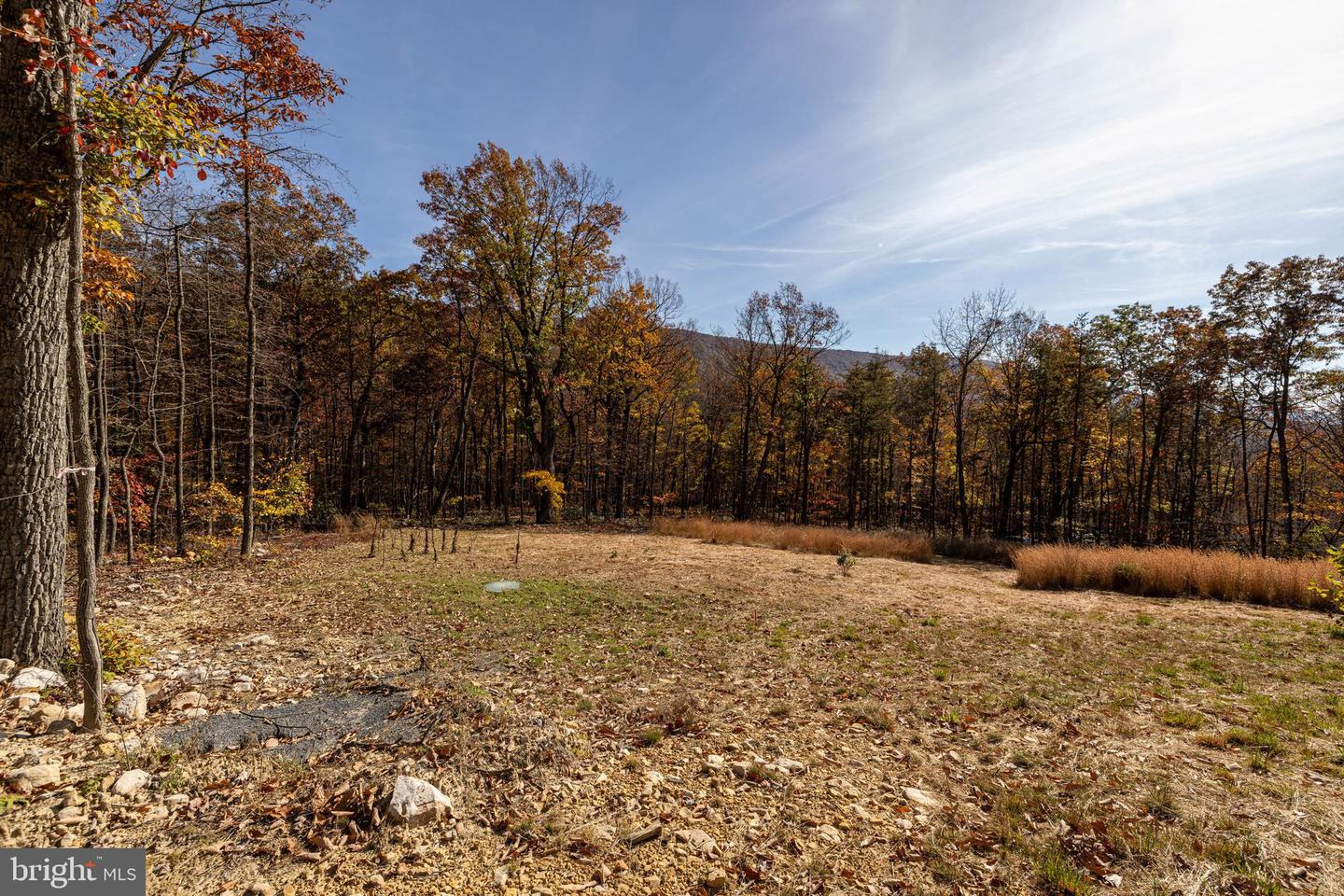 0 MORELAND GAP, NEW MARKET, Virginia 22844, ,Land,For sale,0 MORELAND GAP,VASH2012040 MLS # VASH2012040