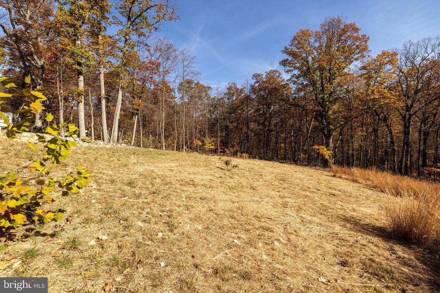 0 MORELAND GAP, NEW MARKET, Virginia 22844, ,Land,For sale,0 MORELAND GAP,VASH2012040 MLS # VASH2012040
