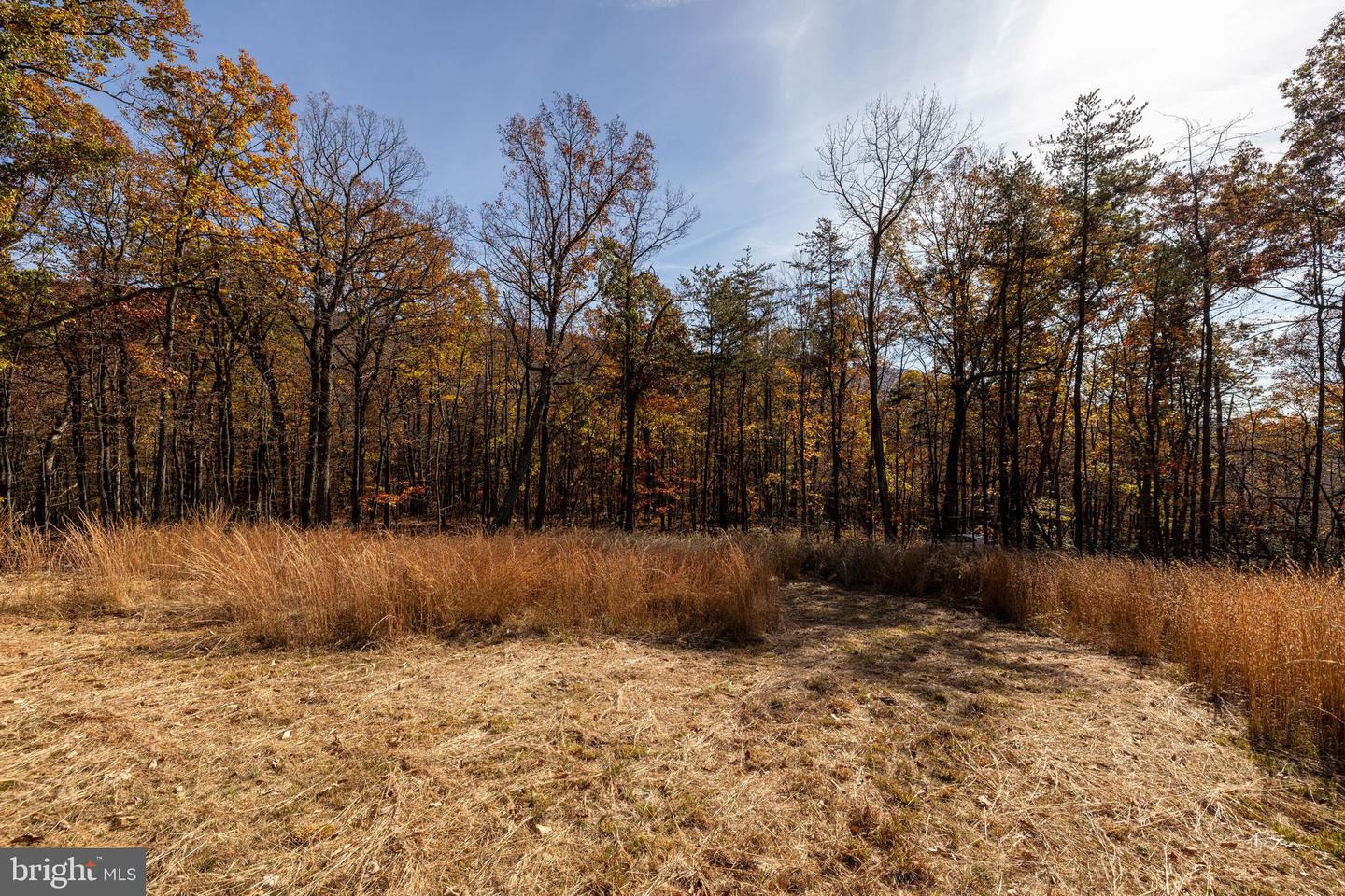 0 MORELAND GAP, NEW MARKET, Virginia 22844, ,Land,For sale,0 MORELAND GAP,VASH2012040 MLS # VASH2012040