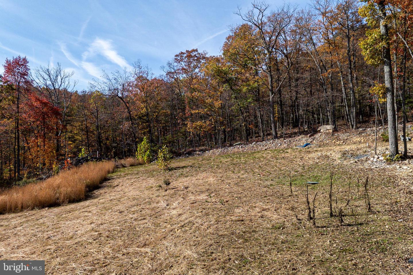 0 MORELAND GAP, NEW MARKET, Virginia 22844, ,Land,For sale,0 MORELAND GAP,VASH2012040 MLS # VASH2012040
