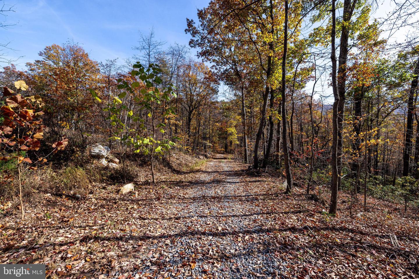 0 MORELAND GAP, NEW MARKET, Virginia 22844, ,Land,For sale,0 MORELAND GAP,VASH2012040 MLS # VASH2012040