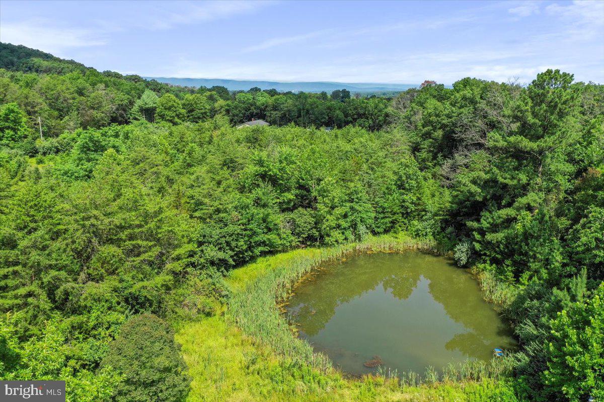 0 MESSICK ROAD, STRASBURG, Virginia 22657, ,Land,For sale,0 MESSICK ROAD,VAWR2011742 MLS # VAWR2011742