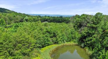 0 MESSICK ROAD, STRASBURG, Virginia 22657, ,Land,For sale,0 MESSICK ROAD,VAWR2011742 MLS # VAWR2011742
