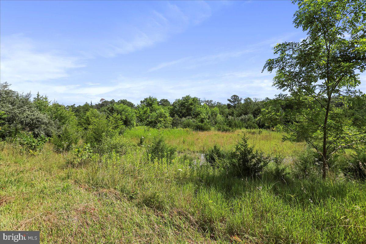 00 MESSICK ROAD, STRASBURG, Virginia 22657, ,Land,For sale,00 MESSICK ROAD,VAWR2011744 MLS # VAWR2011744