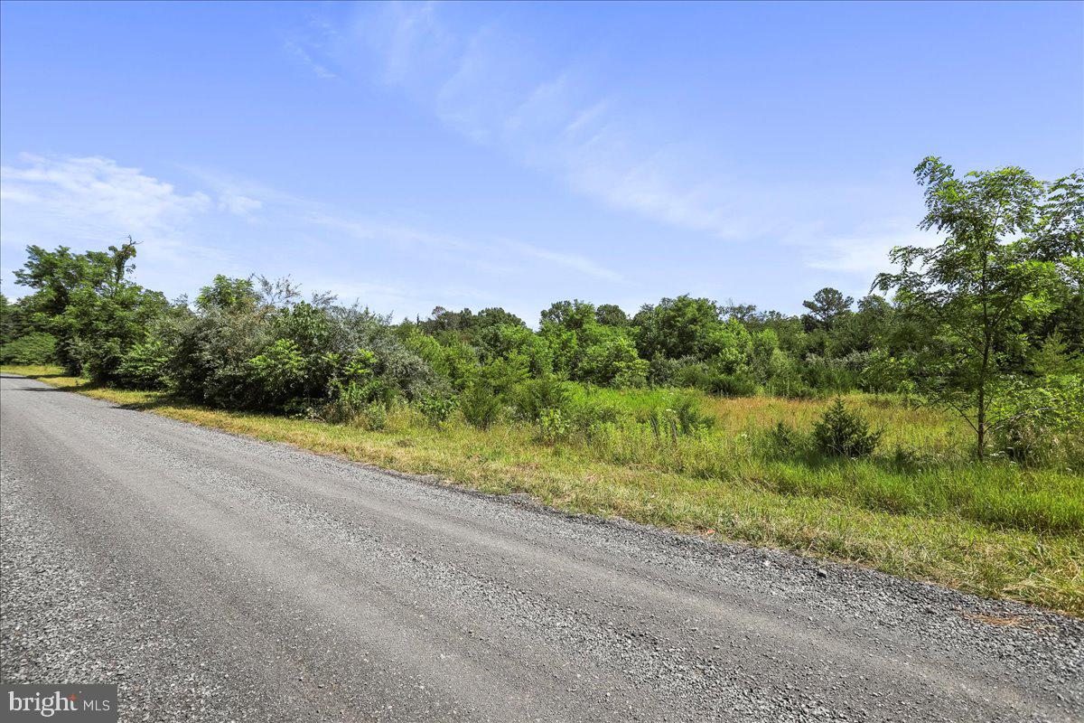 00 MESSICK ROAD, STRASBURG, Virginia 22657, ,Land,For sale,00 MESSICK ROAD,VAWR2011744 MLS # VAWR2011744