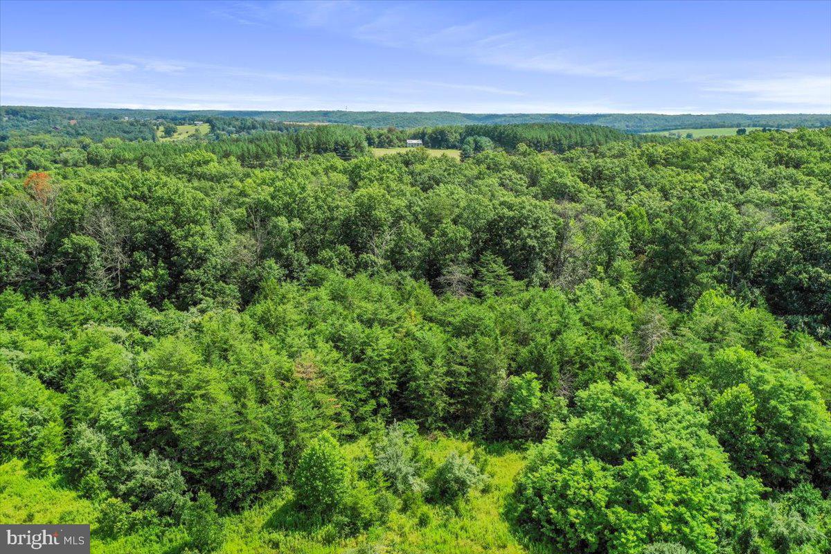 00 MESSICK ROAD, STRASBURG, Virginia 22657, ,Land,For sale,00 MESSICK ROAD,VAWR2011744 MLS # VAWR2011744